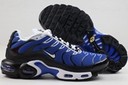Nike Air Max TN 8909-239